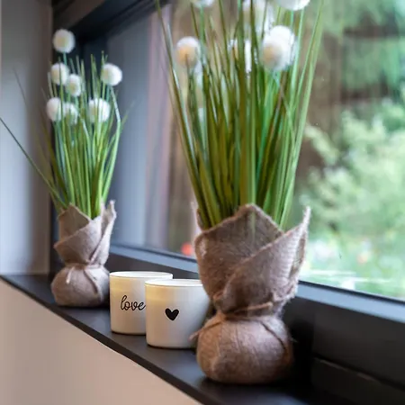 Nature Lake Village - Villa N°22 - 8 Personnes Büllingen