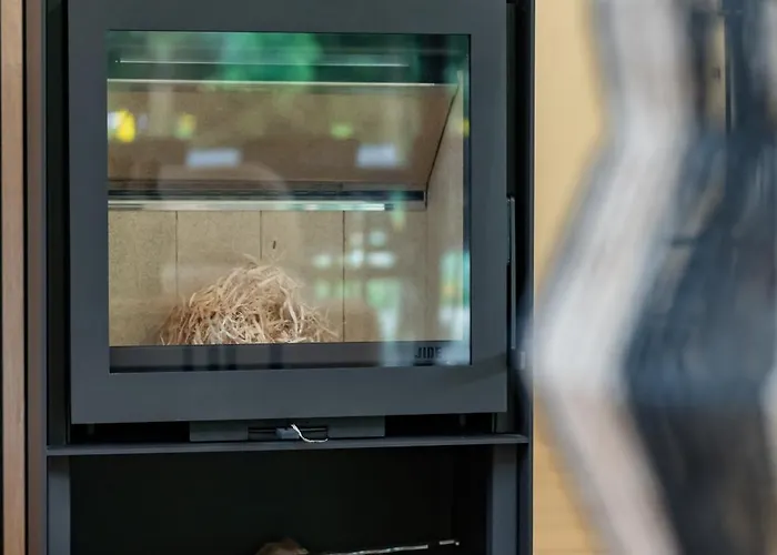 Nature Lake Village - Villa N°22 - 8 Personnes * Büllingen